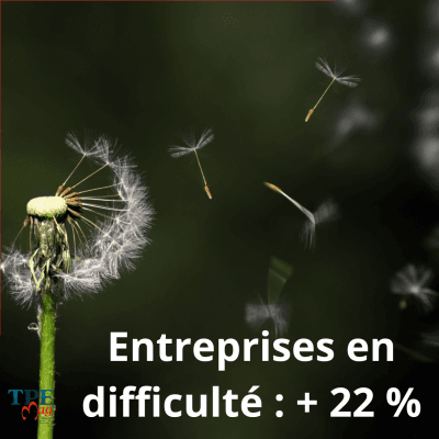 Une morosité générale