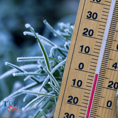 Coup de froid sur les salaires