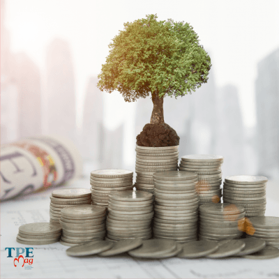 Comment soutenir la croissance verte