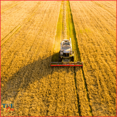 Une question d’indépendance alimentaire