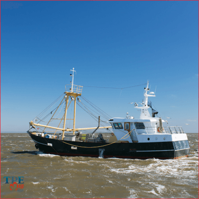 Une stratégie pour la pêche