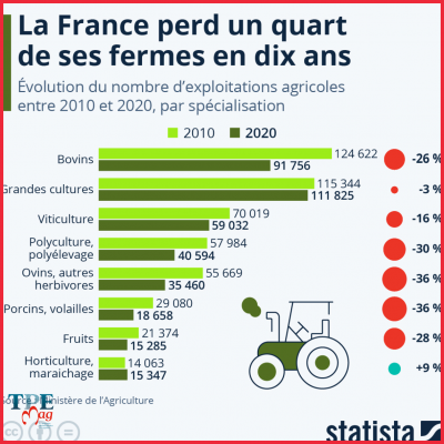 Vie quotidienne. De l'engouement à l'interdiction pour trafic : le